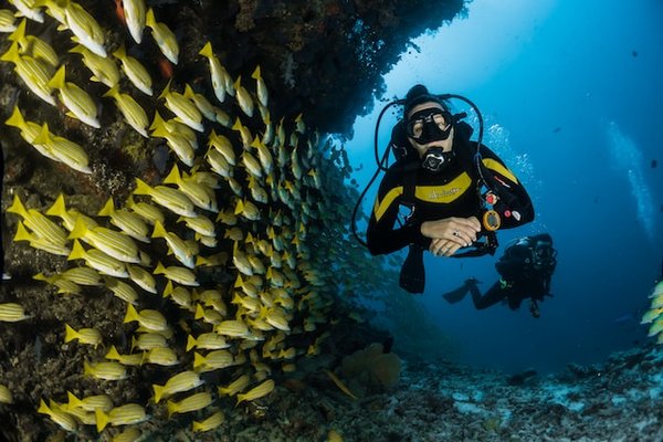 Club de plongée Var : Votre porte d'entrée vers un univers sous-marin spectaculaire